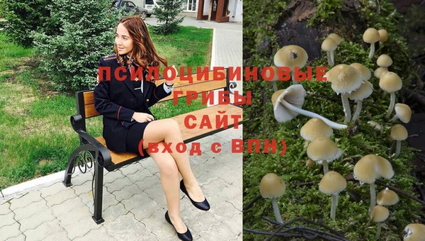 прущая мука Михайловск
