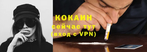 шишки Наволоки