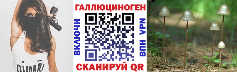 Псилоцибиновые грибы прущие грибы hydra онион Новомичуринск